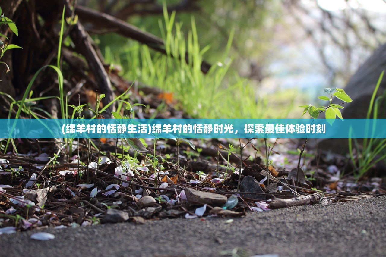 (绵羊村的恬静生活)绵羊村的恬静时光，探索最佳体验时刻