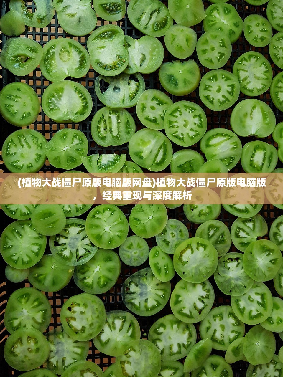 (植物大战僵尸原版电脑版网盘)植物大战僵尸原版电脑版，经典重现与深度解析