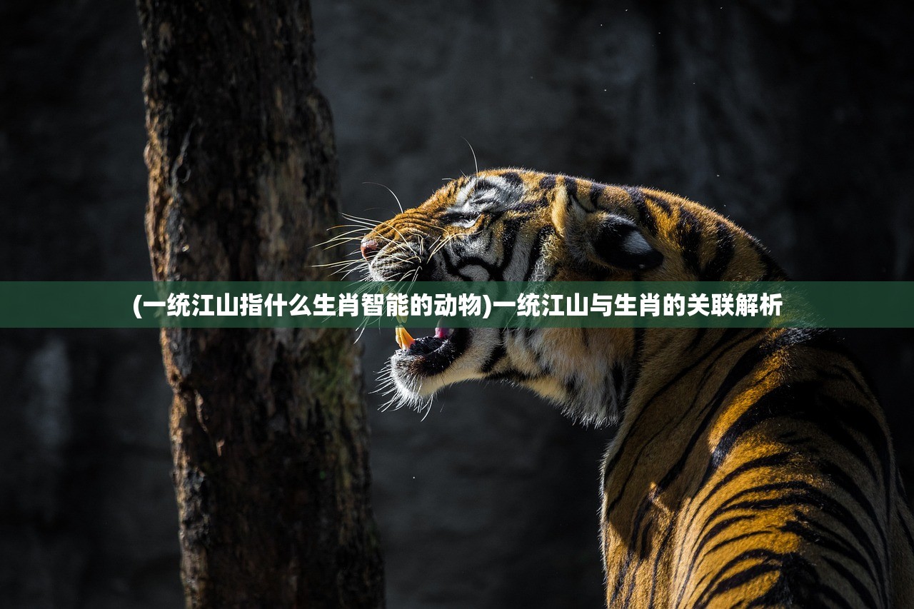 (放置江湖wiki搬到哪了)放置江湖，深入探索Wiki功能与特色