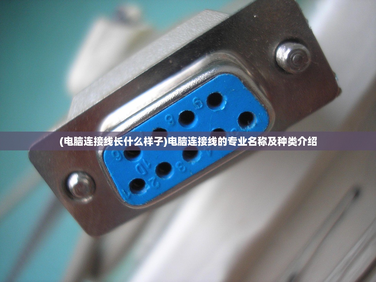(流氓来了表情包)流氓来了为何不能观看？深度解析背后的原因