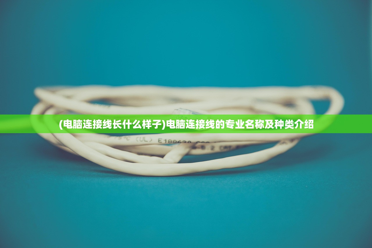 (电脑连接线长什么样子)电脑连接线的专业名称及种类介绍