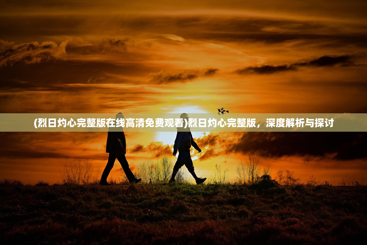 (烈日灼心完整版在线高清免费观看)烈日灼心完整版，深度解析与探讨