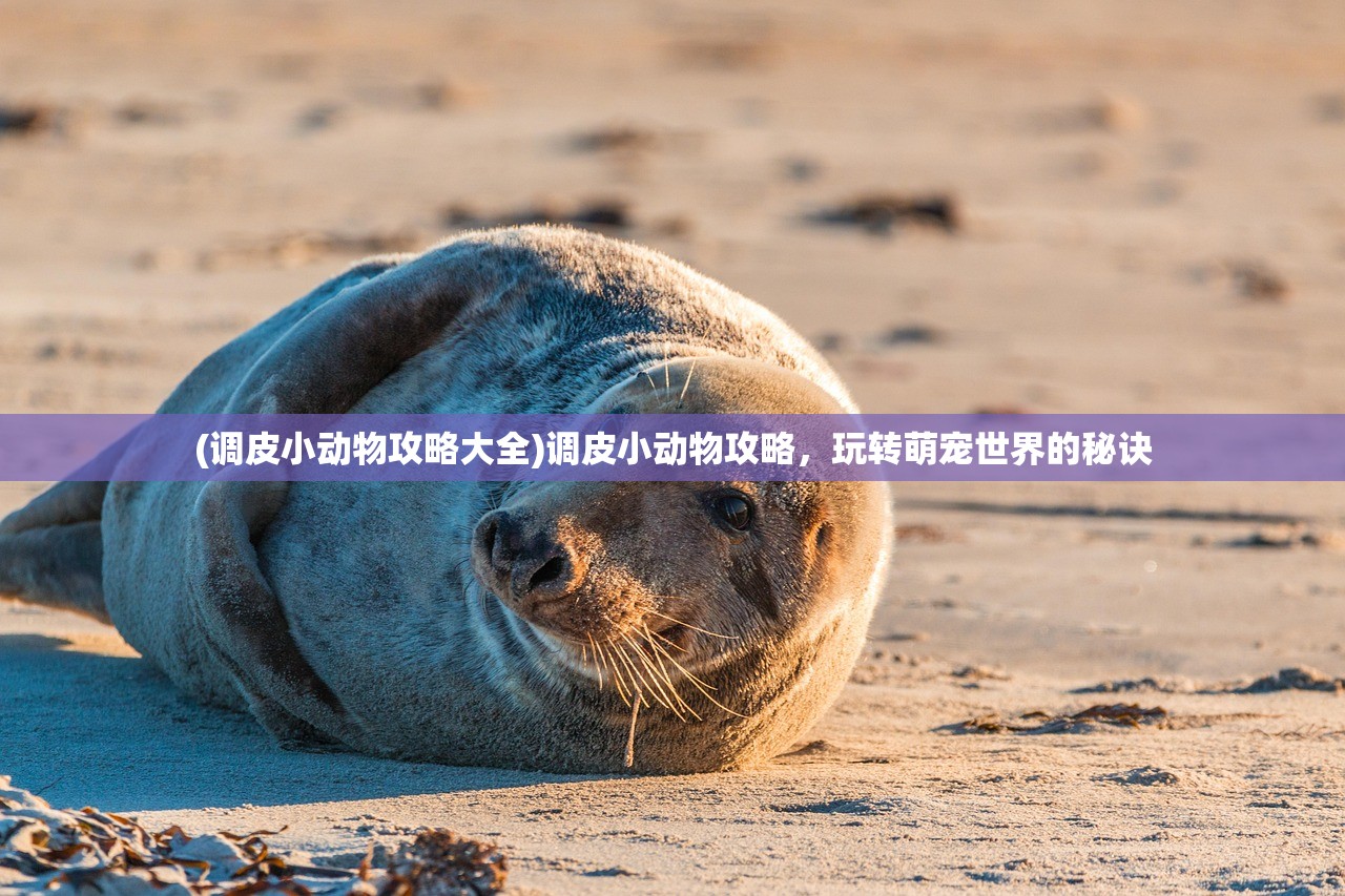 (调皮小动物攻略大全)调皮小动物攻略，玩转萌宠世界的秘诀