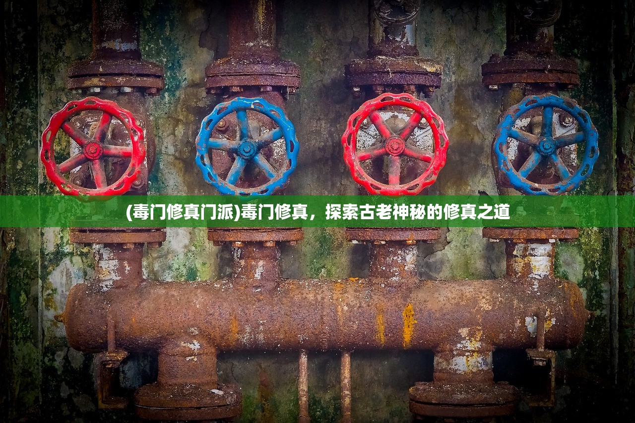 (毒门修真门派)毒门修真，探索古老神秘的修真之道