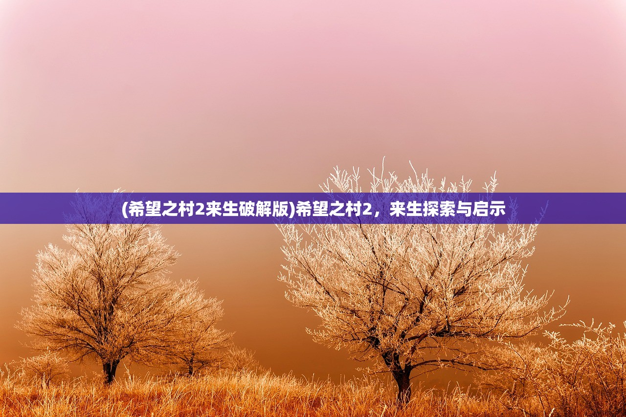 (希望之村2来生破解版)希望之村2，来生探索与启示