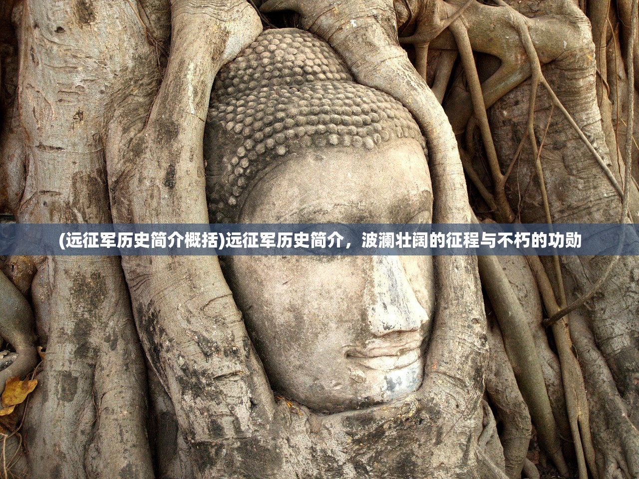 (远征军历史简介概括)远征军历史简介，波澜壮阔的征程与不朽的功勋