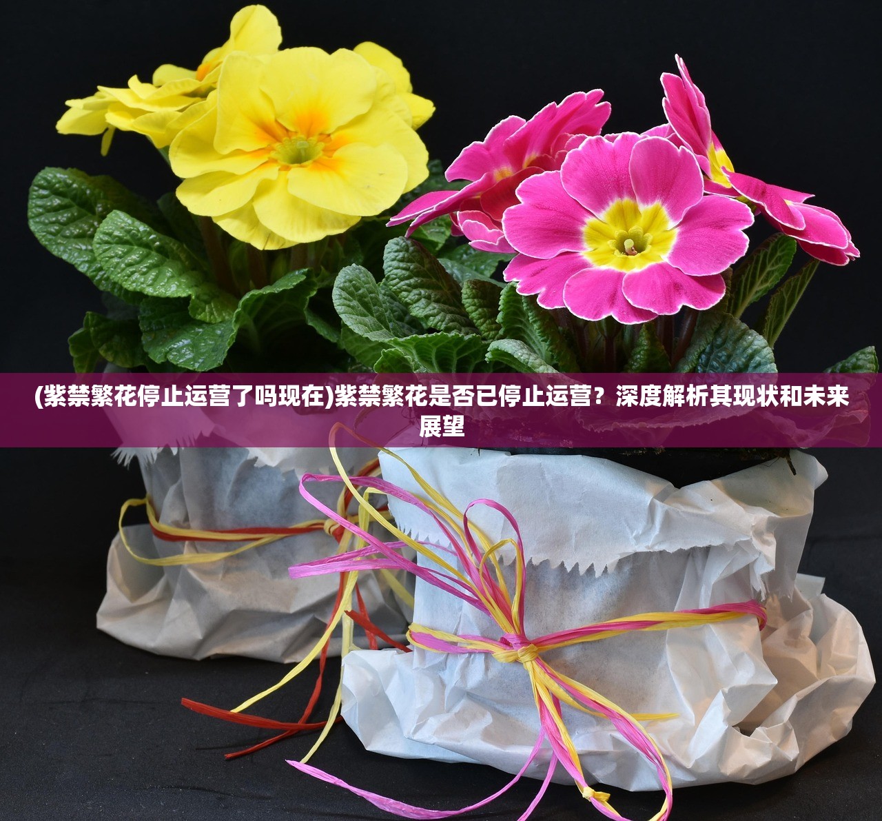 (黑潮之上还能回归吗贴吧)黑潮之上，未来能否迎来回归?