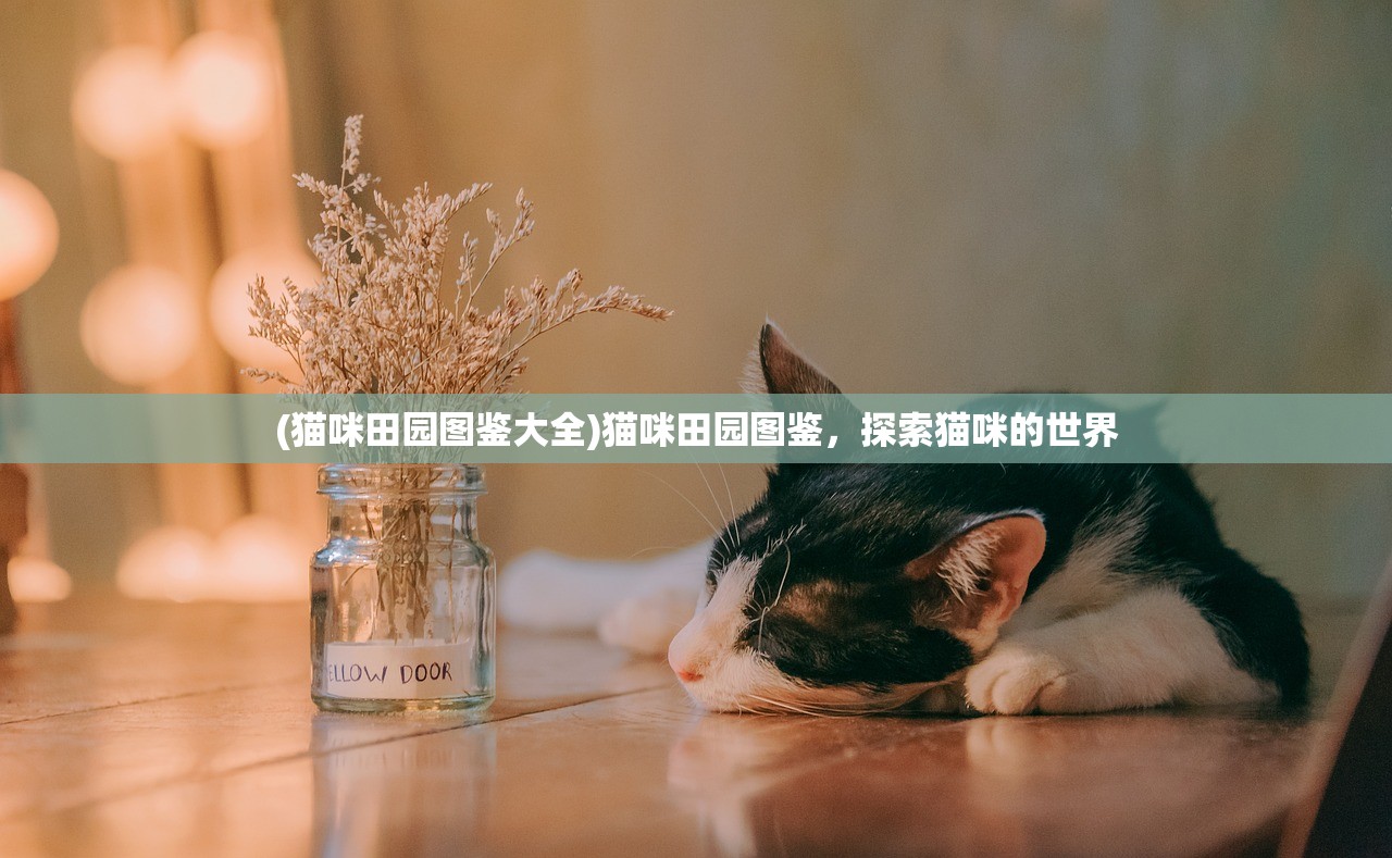 (猫咪田园图鉴大全)猫咪田园图鉴，探索猫咪的世界