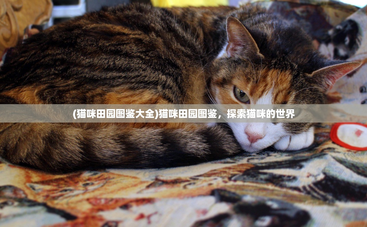 (猫咪田园图鉴大全)猫咪田园图鉴，探索猫咪的世界