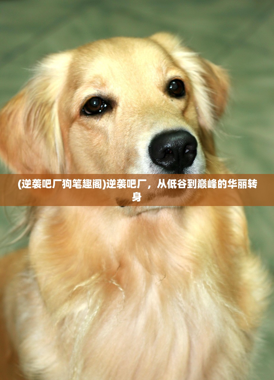 (非常英雄救世奇缘第一关怎么过)非常英雄救世奇缘关卡总数解析及介绍