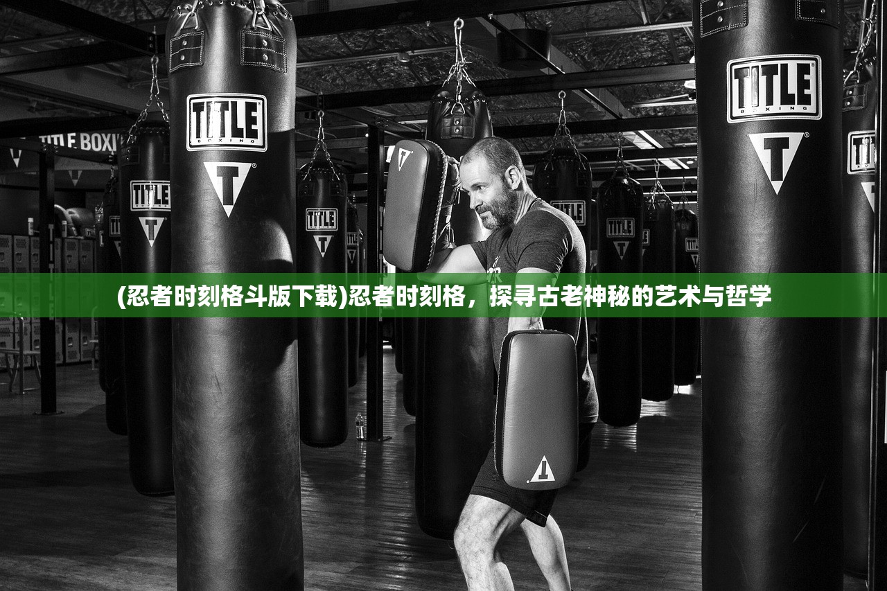 (忍者时刻格斗版下载)忍者时刻格，探寻古老神秘的艺术与哲学