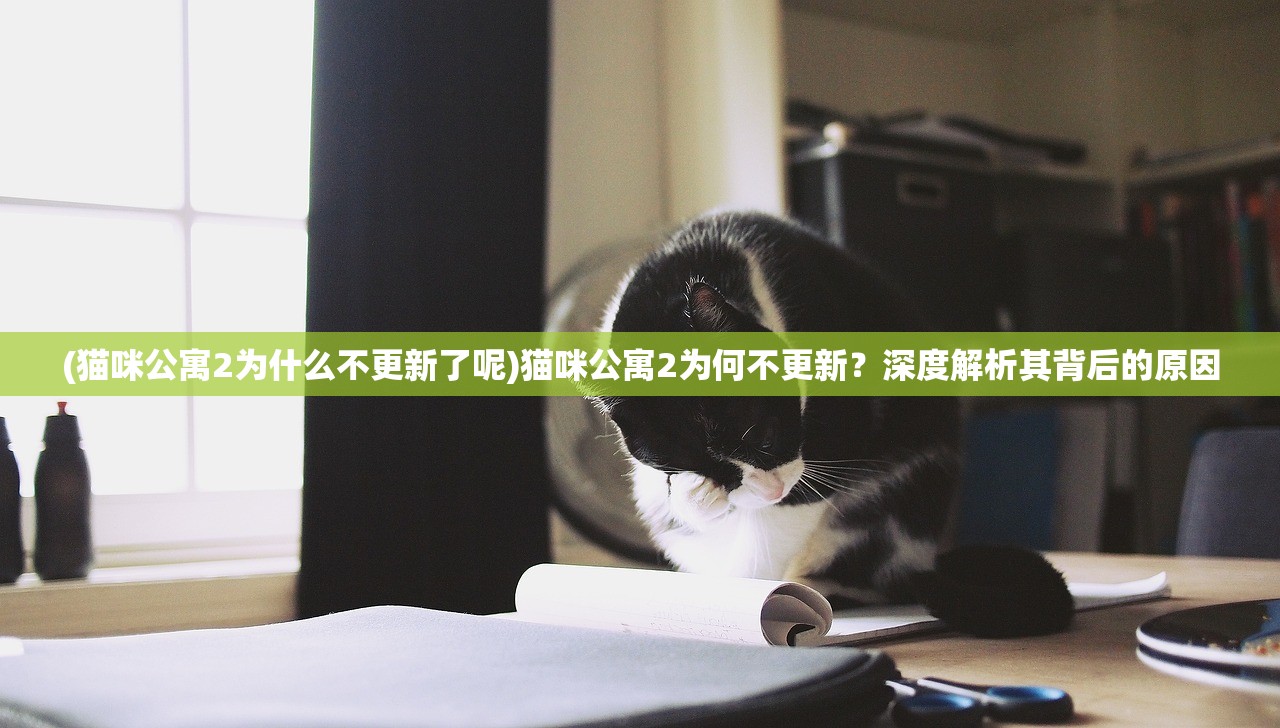 (猫咪公寓2为什么不更新了呢)猫咪公寓2为何不更新？深度解析其背后的原因