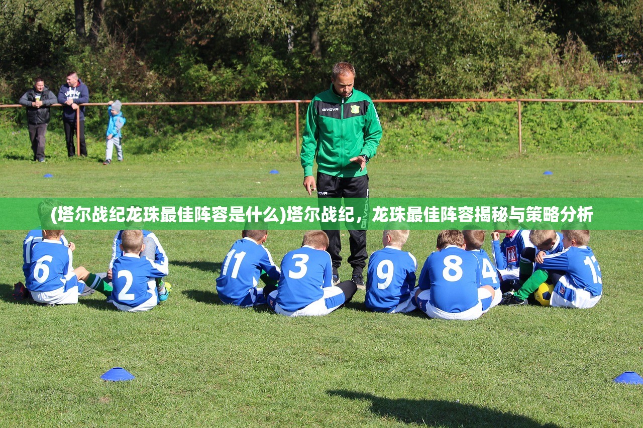 (塔尔战纪龙珠最佳阵容是什么)塔尔战纪，龙珠最佳阵容揭秘与策略分析