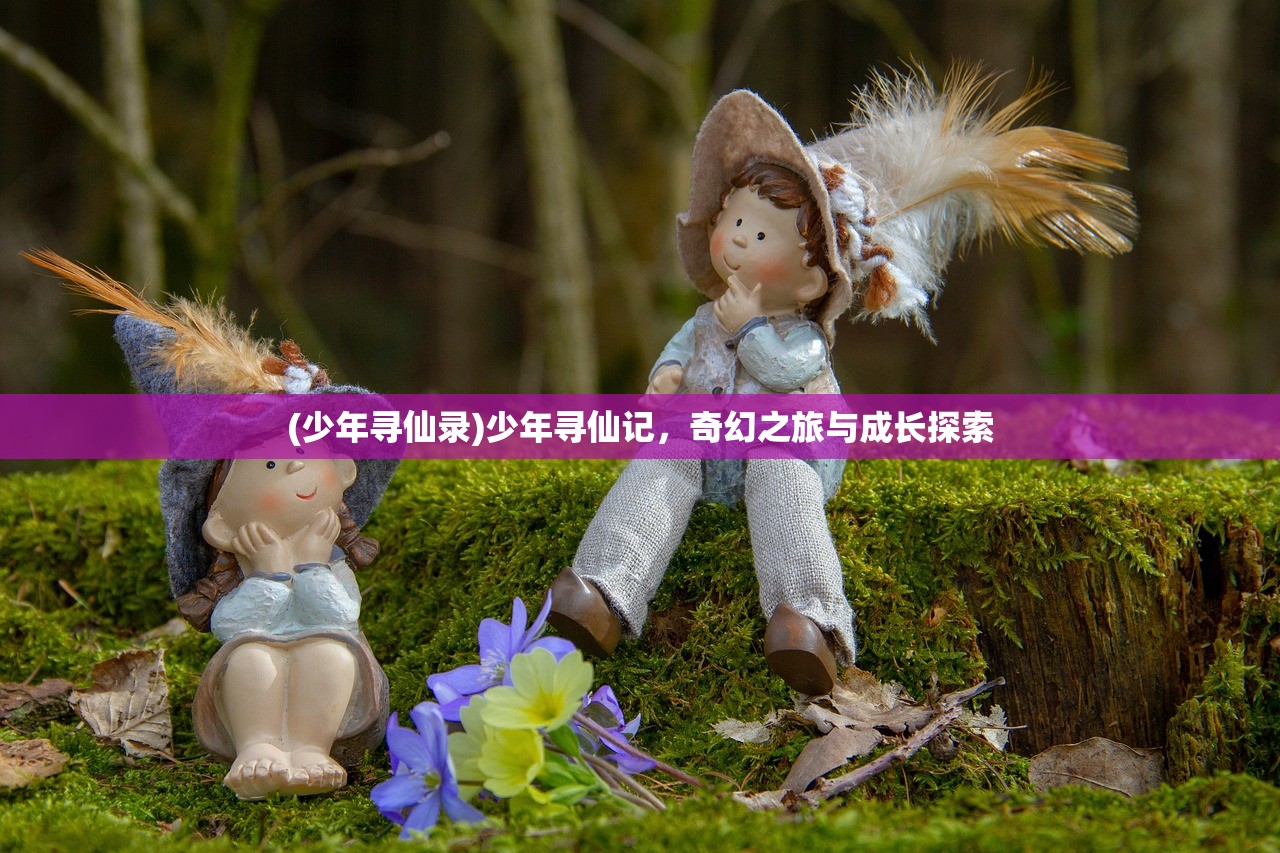 (少年寻仙录)少年寻仙记，奇幻之旅与成长探索