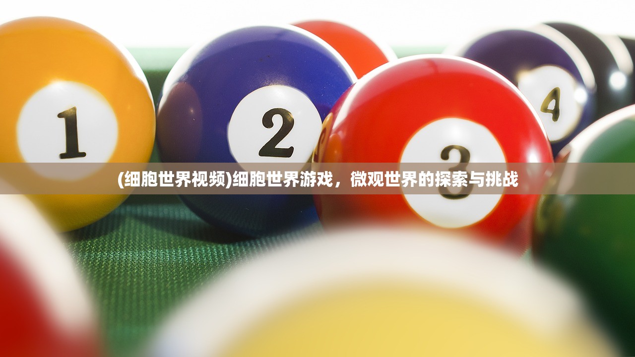 (小浣熊神兵卡)小浣熊神兵列传论坛，深度探讨与常见问题解答