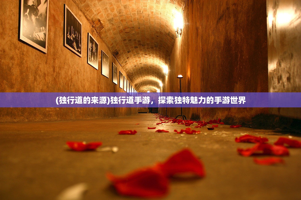 (独行道的来源)独行道手游，探索独特魅力的手游世界