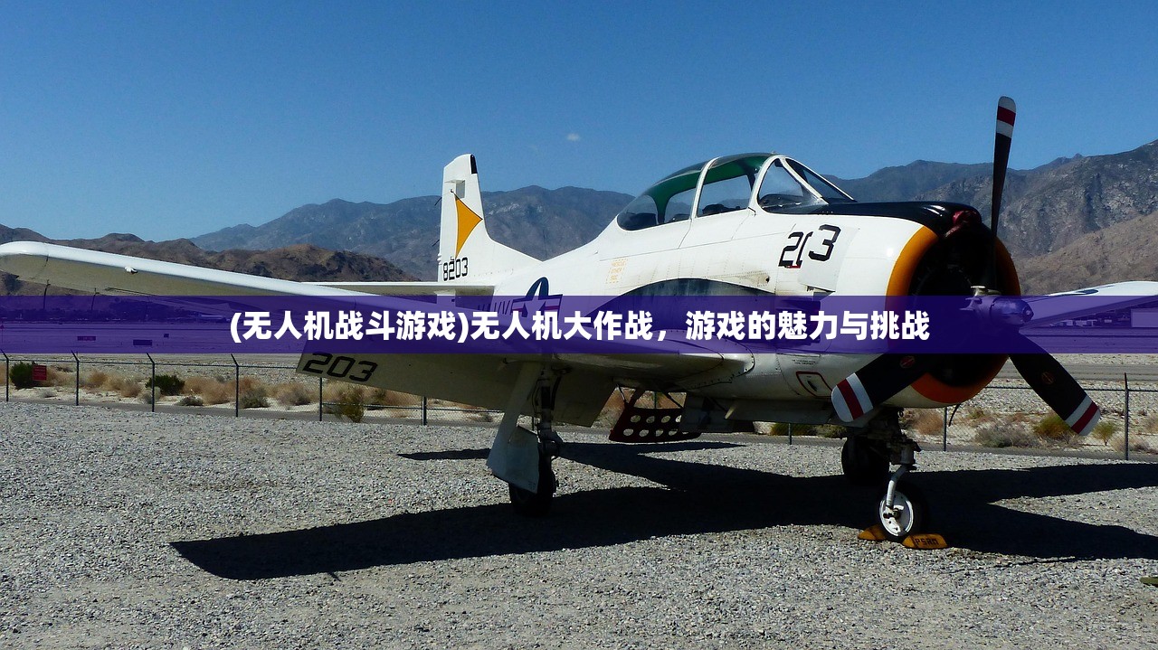 (无人机战斗游戏)无人机大作战，游戏的魅力与挑战