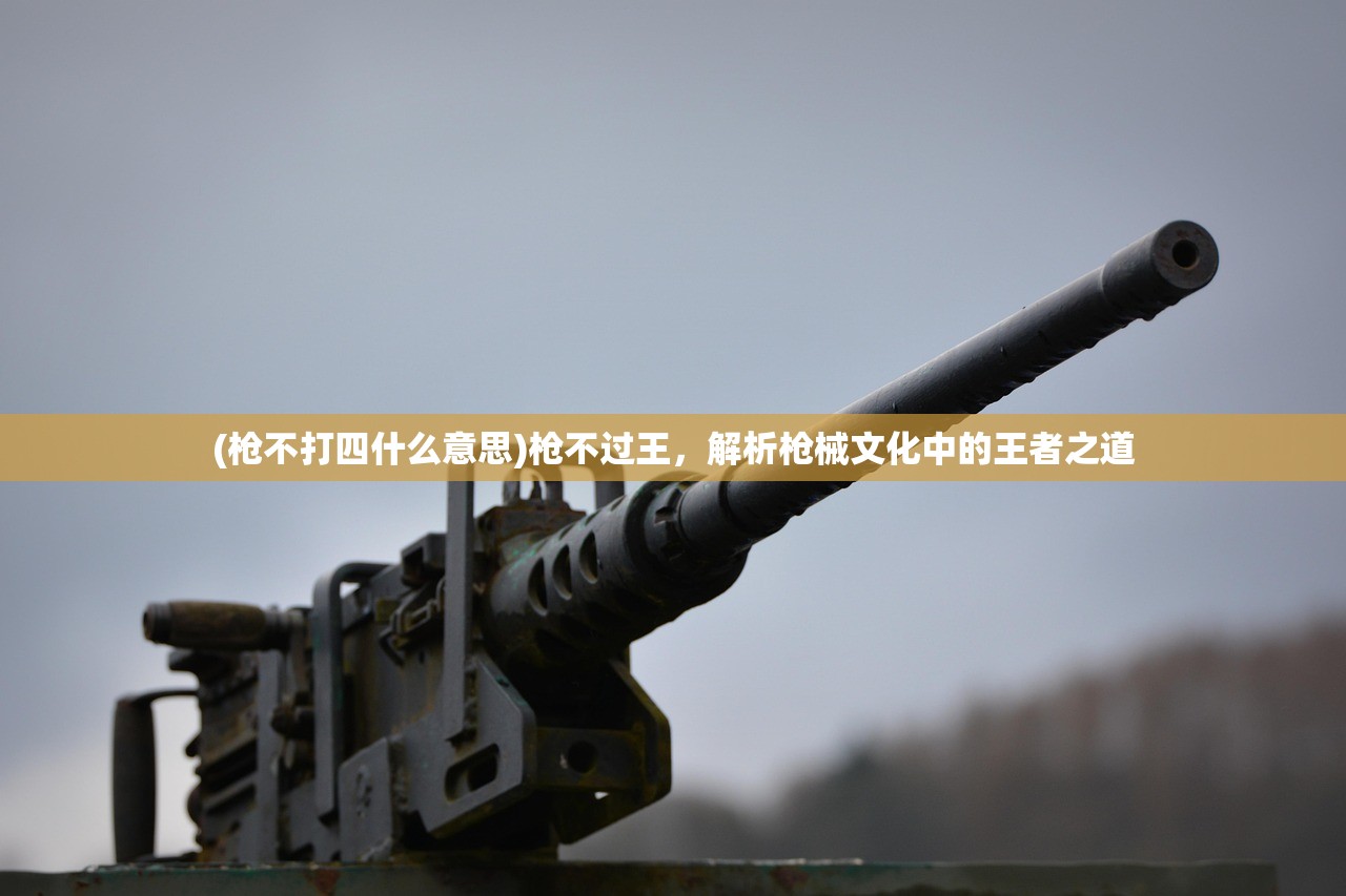 (枪不打四什么意思)枪不过王，解析枪械文化中的王者之道