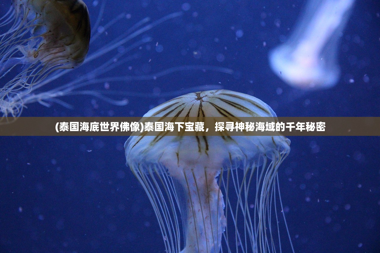 (泰国海底世界佛像)泰国海下宝藏，探寻神秘海域的千年秘密
