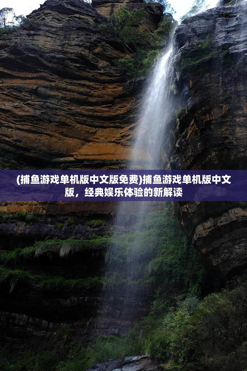 (捕鱼游戏单机版中文版免费)捕鱼游戏单机版中文版，经典娱乐体验的新解读