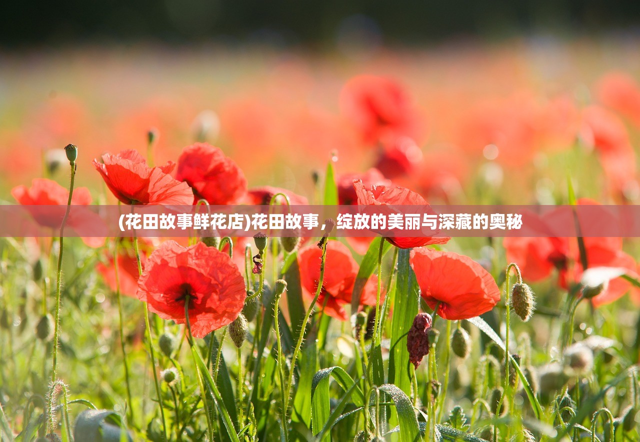 (花田故事鲜花店)花田故事，绽放的美丽与深藏的奥秘