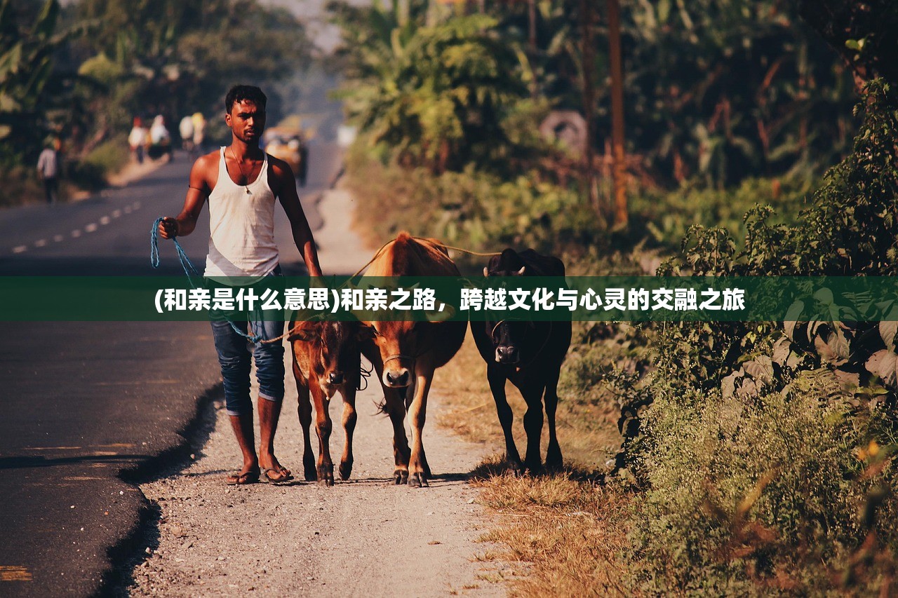 (和亲是什么意思)和亲之路，跨越文化与心灵的交融之旅