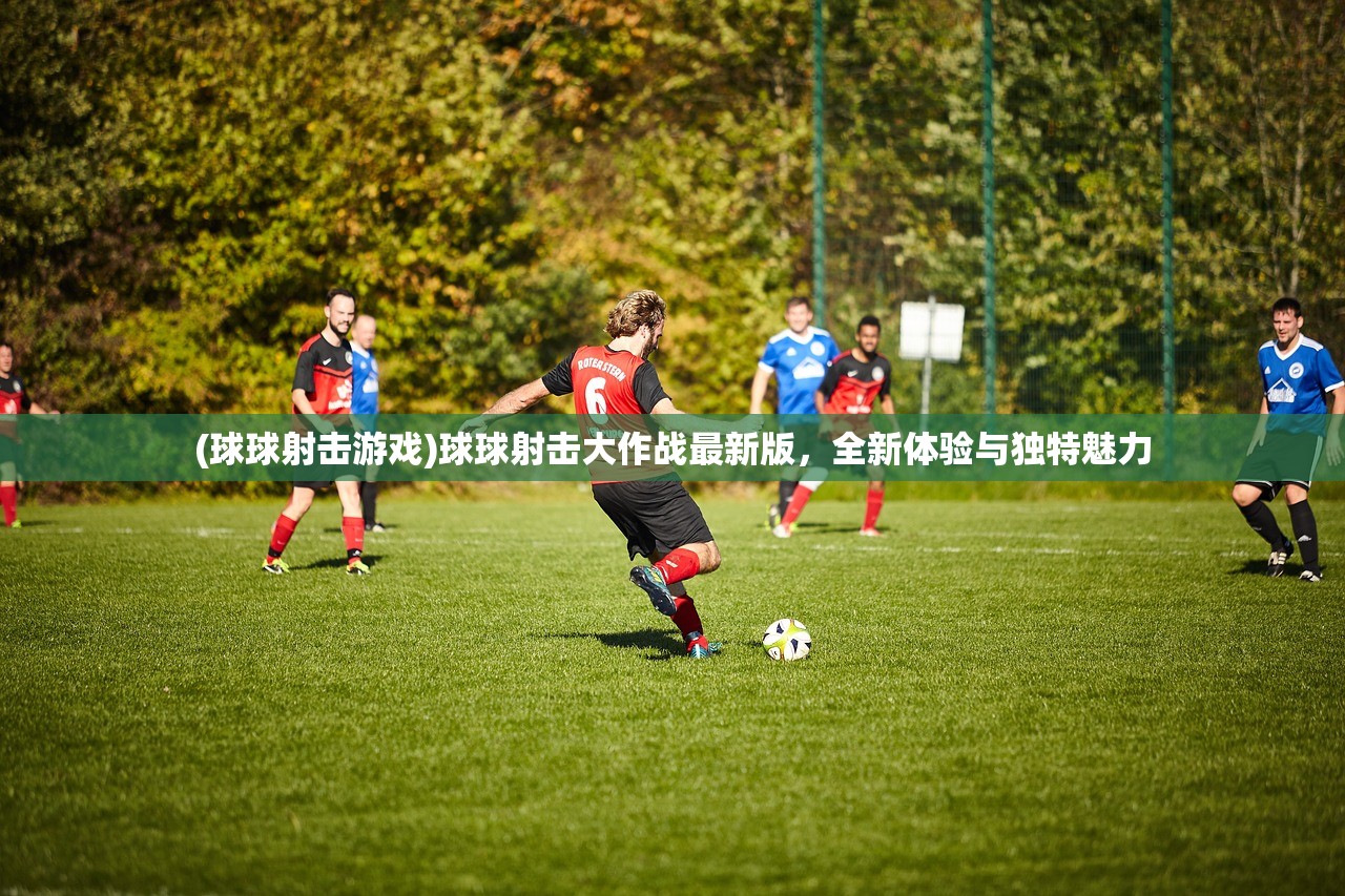(球球射击游戏)球球射击大作战最新版，全新体验与独特魅力