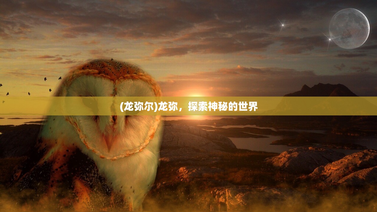 (龙弥尔)龙弥，探索神秘的世界