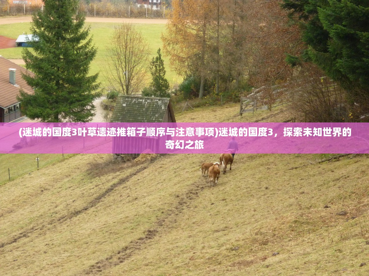 (迷城的国度3叶草遗迹推箱子顺序与注意事项)迷城的国度3，探索未知世界的奇幻之旅