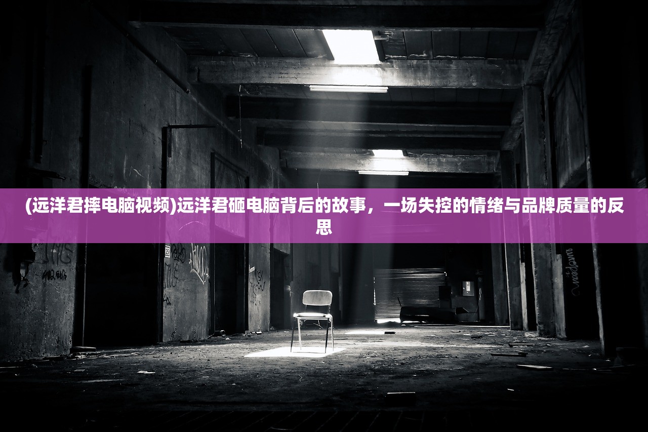 (远洋君摔电脑视频)远洋君砸电脑背后的故事，一场失控的情绪与品牌质量的反思