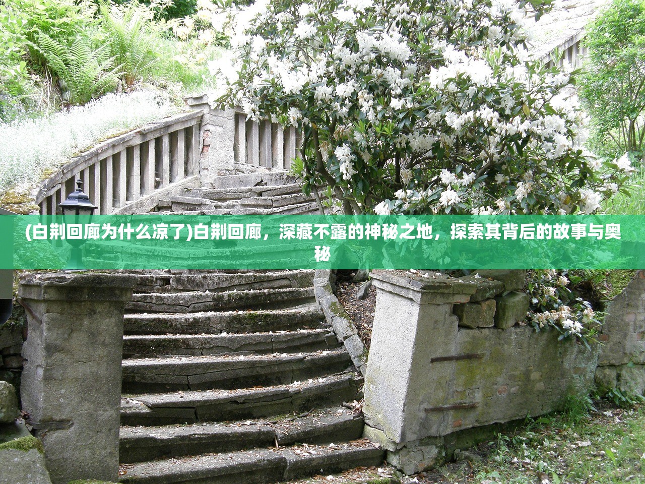 (白荆回廊为什么凉了)白荆回廊，深藏不露的神秘之地，探索其背后的故事与奥秘