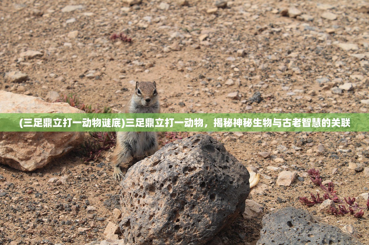 (星学院之星之恋)星之学园游戏激活码，解锁虚拟世界的门户