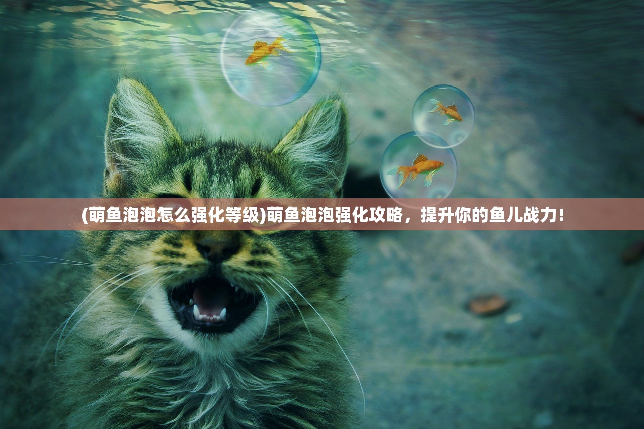 (萌鱼泡泡怎么强化等级)萌鱼泡泡强化攻略，提升你的鱼儿战力！