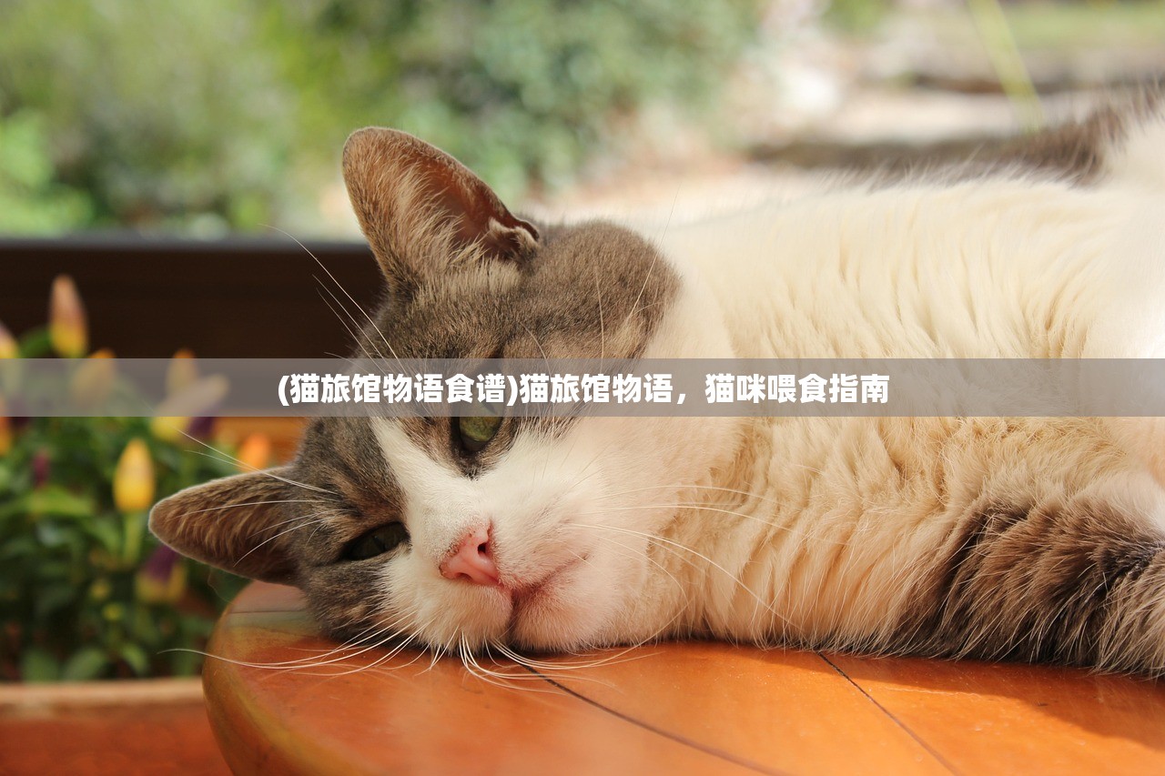 (猫旅馆物语食谱)猫旅馆物语，猫咪喂食指南