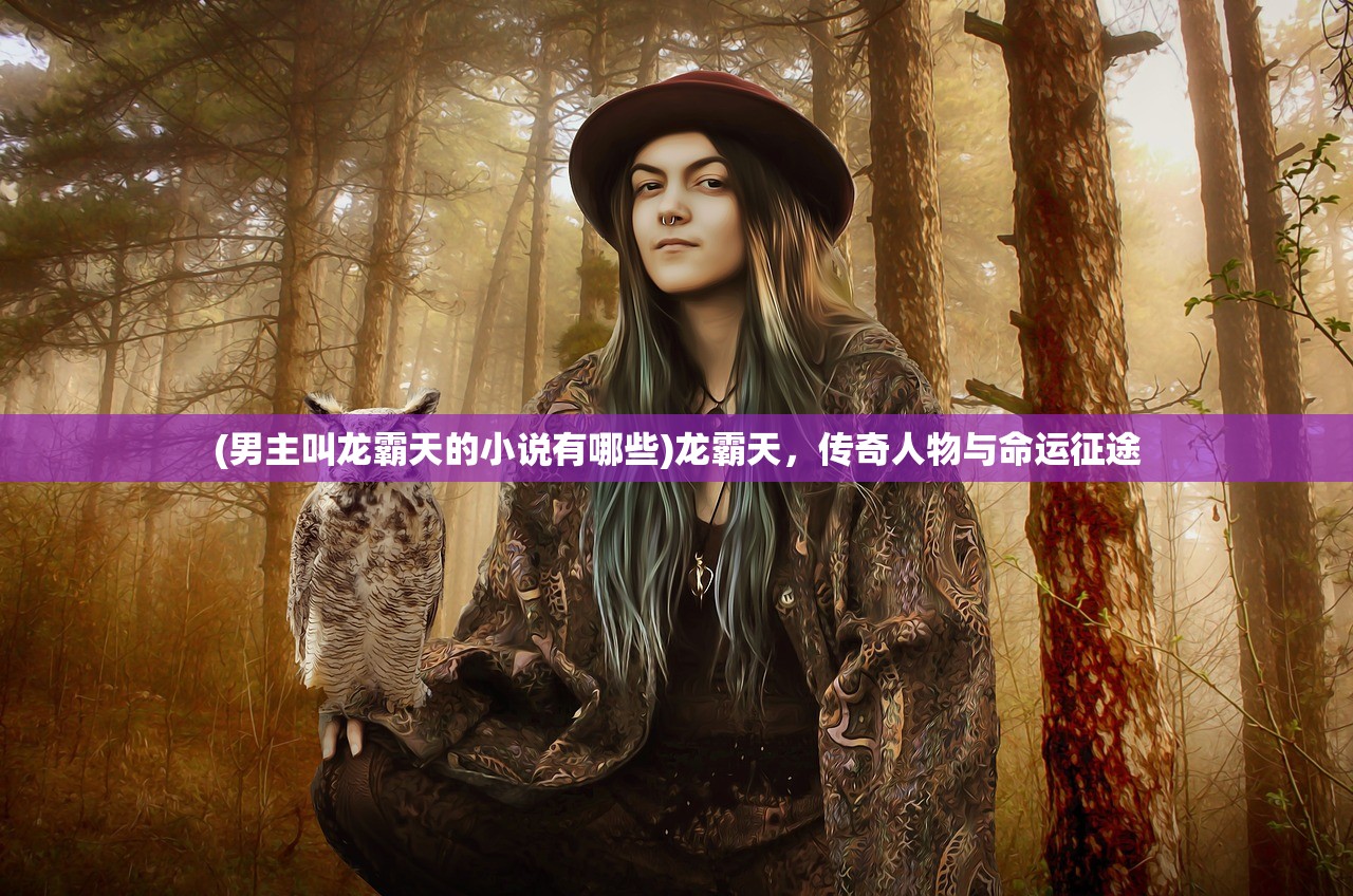 (男主叫龙霸天的小说有哪些)龙霸天，传奇人物与命运征途