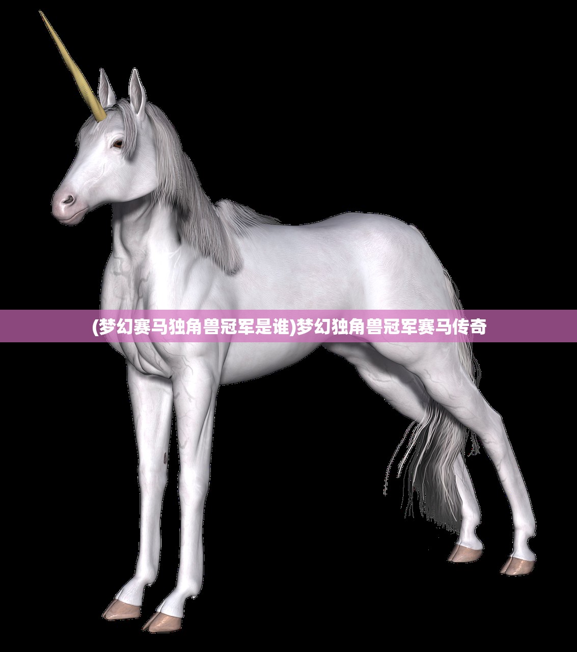 (梦幻赛马独角兽冠军是谁)梦幻独角兽冠军赛马传奇