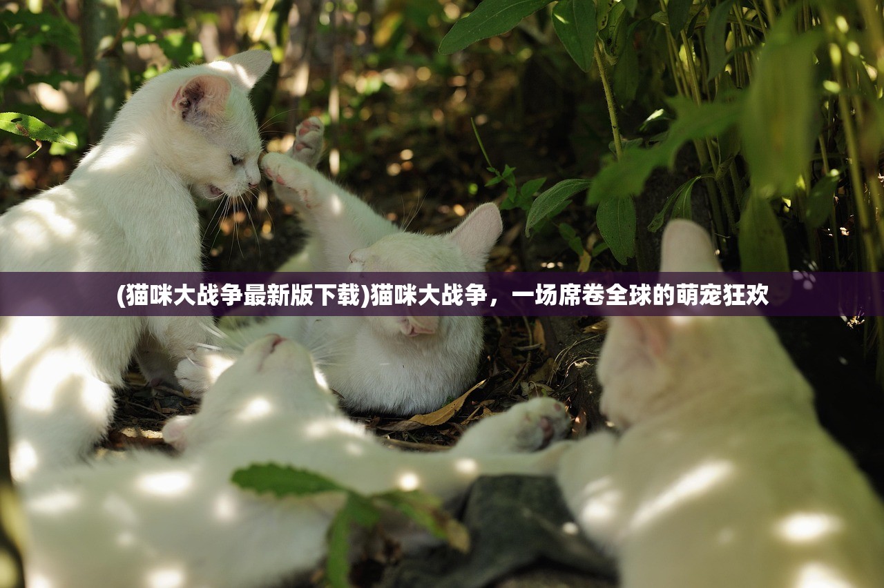 (猫咪大战争最新版下载)猫咪大战争，一场席卷全球的萌宠狂欢