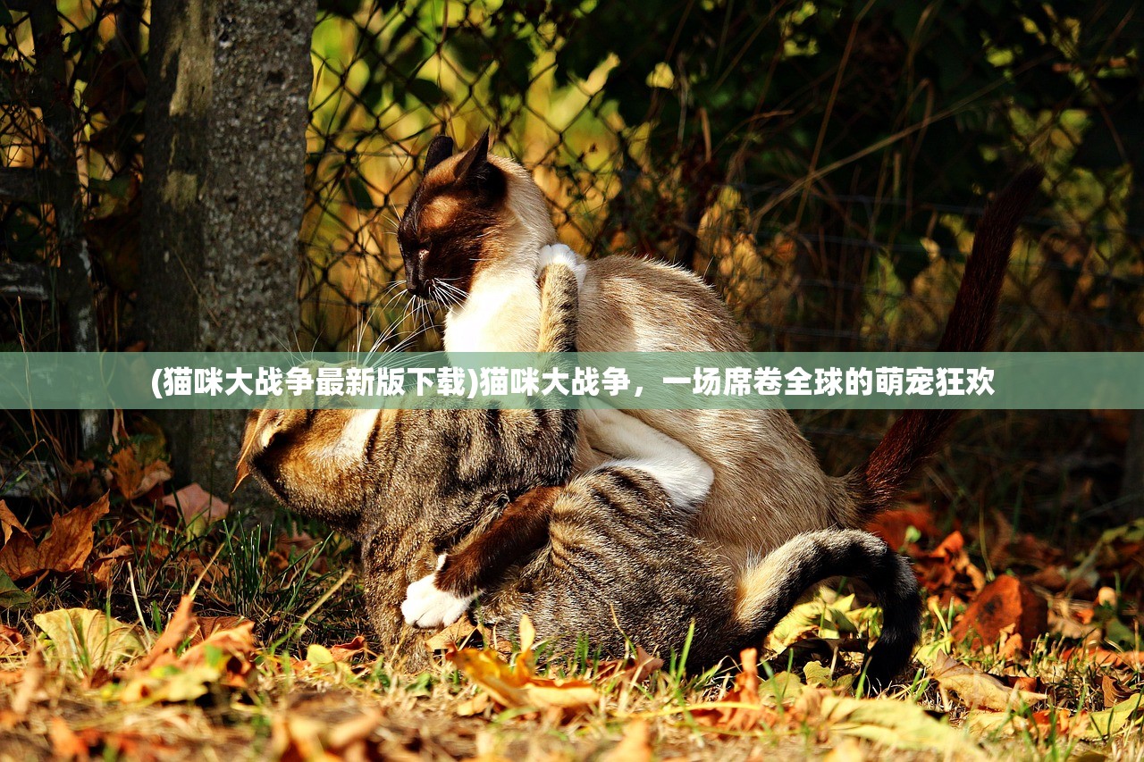 (猫咪大战争最新版下载)猫咪大战争，一场席卷全球的萌宠狂欢