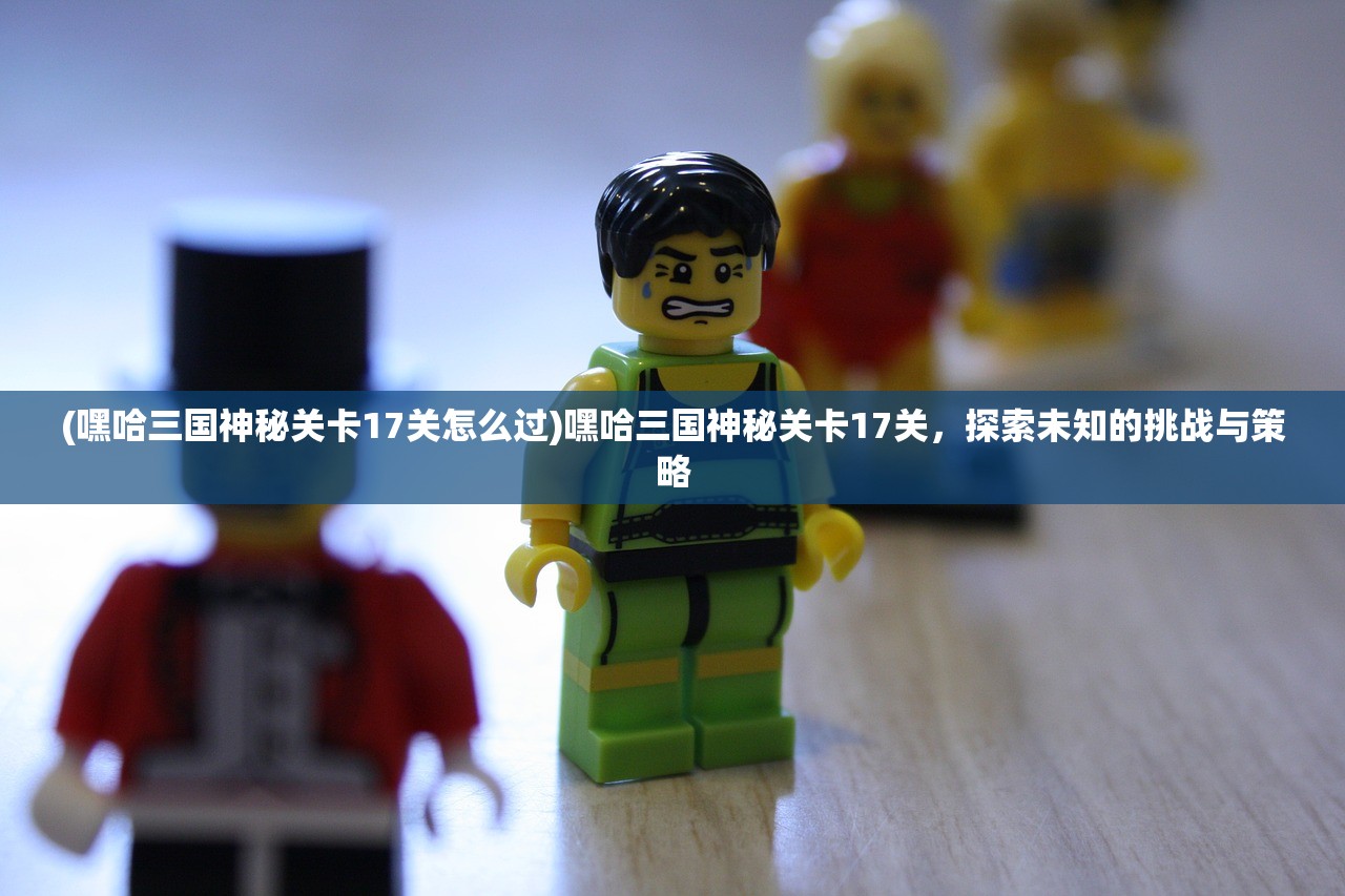 (嘿哈三国神秘关卡17关怎么过)嘿哈三国神秘关卡17关，探索未知的挑战与策略