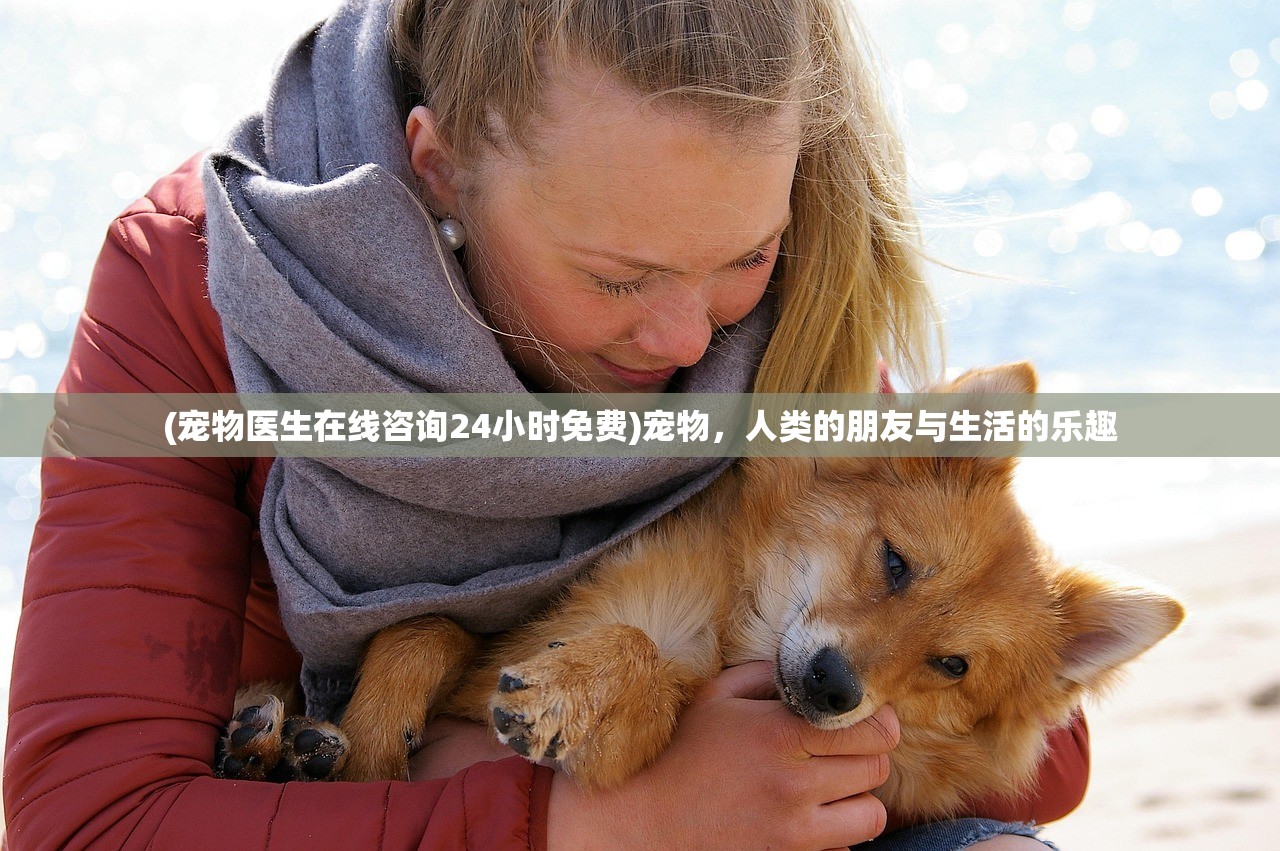 (宠物医生在线咨询24小时免费)宠物，人类的朋友与生活的乐趣