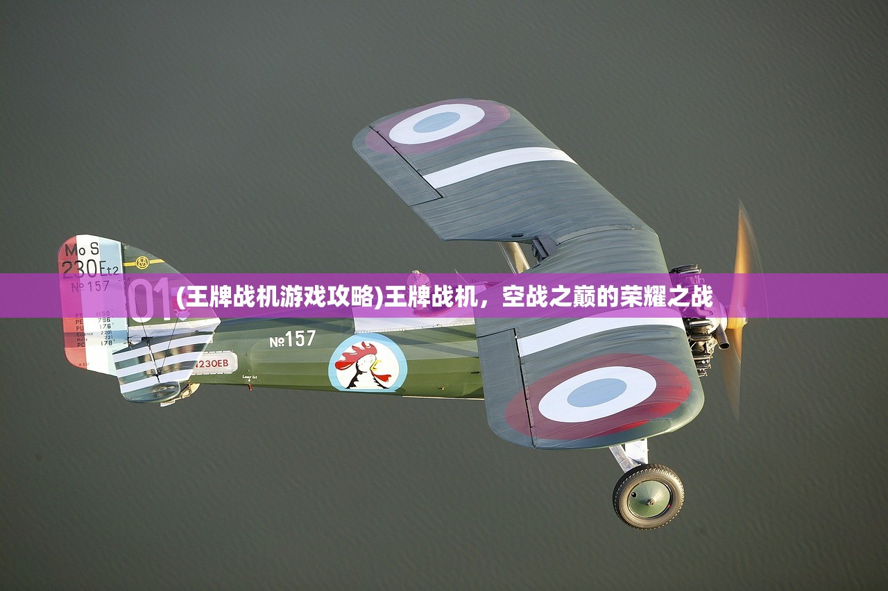 (王牌战机游戏攻略)王牌战机，空战之巅的荣耀之战
