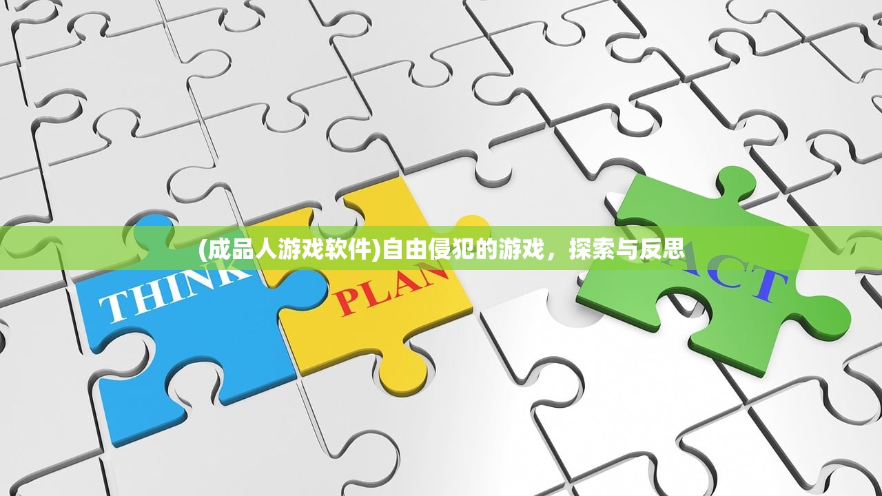 (成品人游戏软件)自由侵犯的游戏，探索与反思