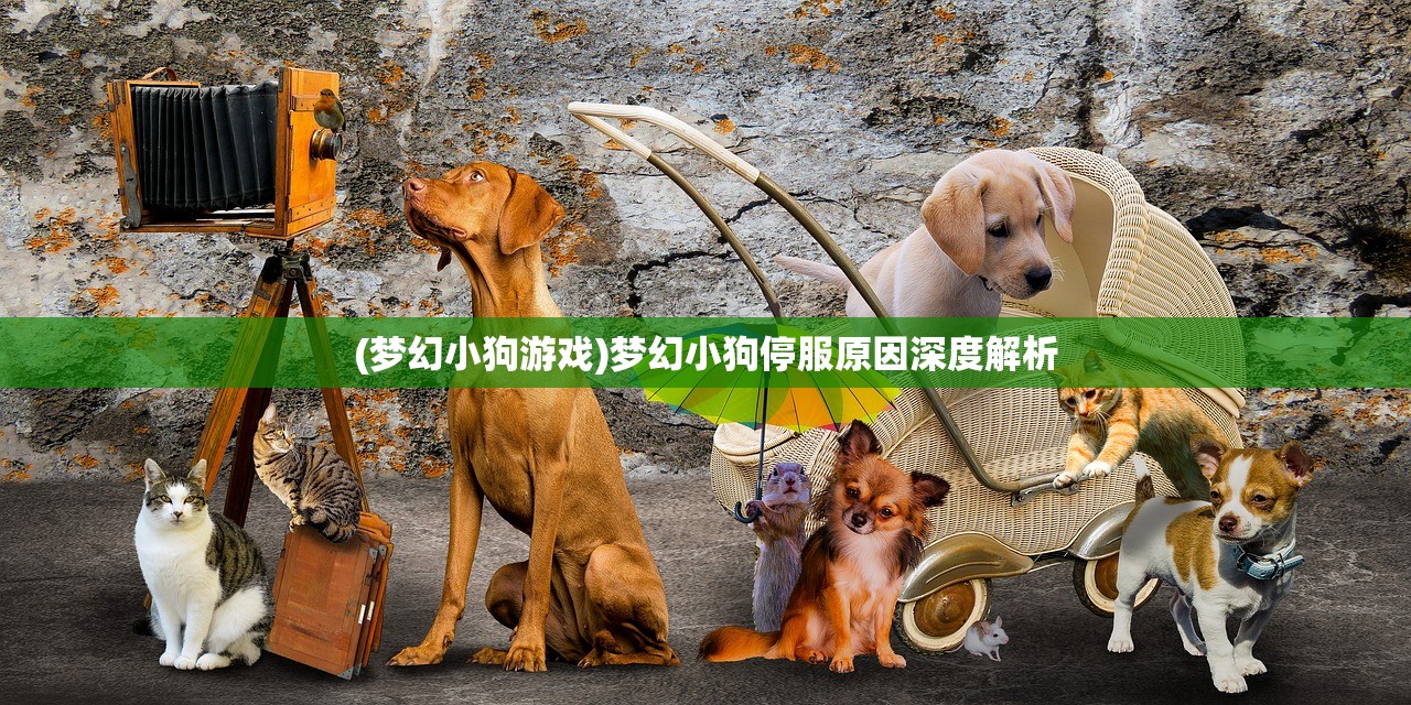 (梦幻小狗游戏)梦幻小狗停服原因深度解析