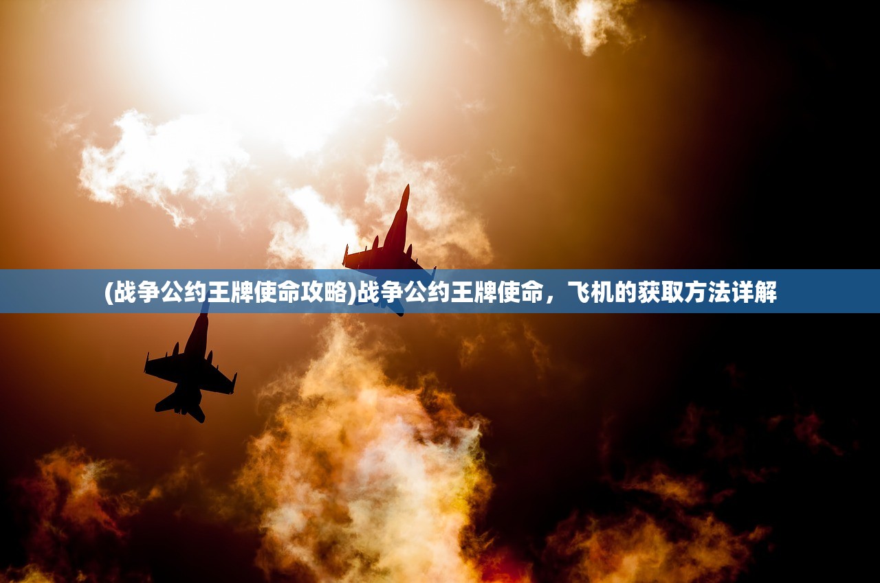 (战争公约王牌使命攻略)战争公约王牌使命，飞机的获取方法详解