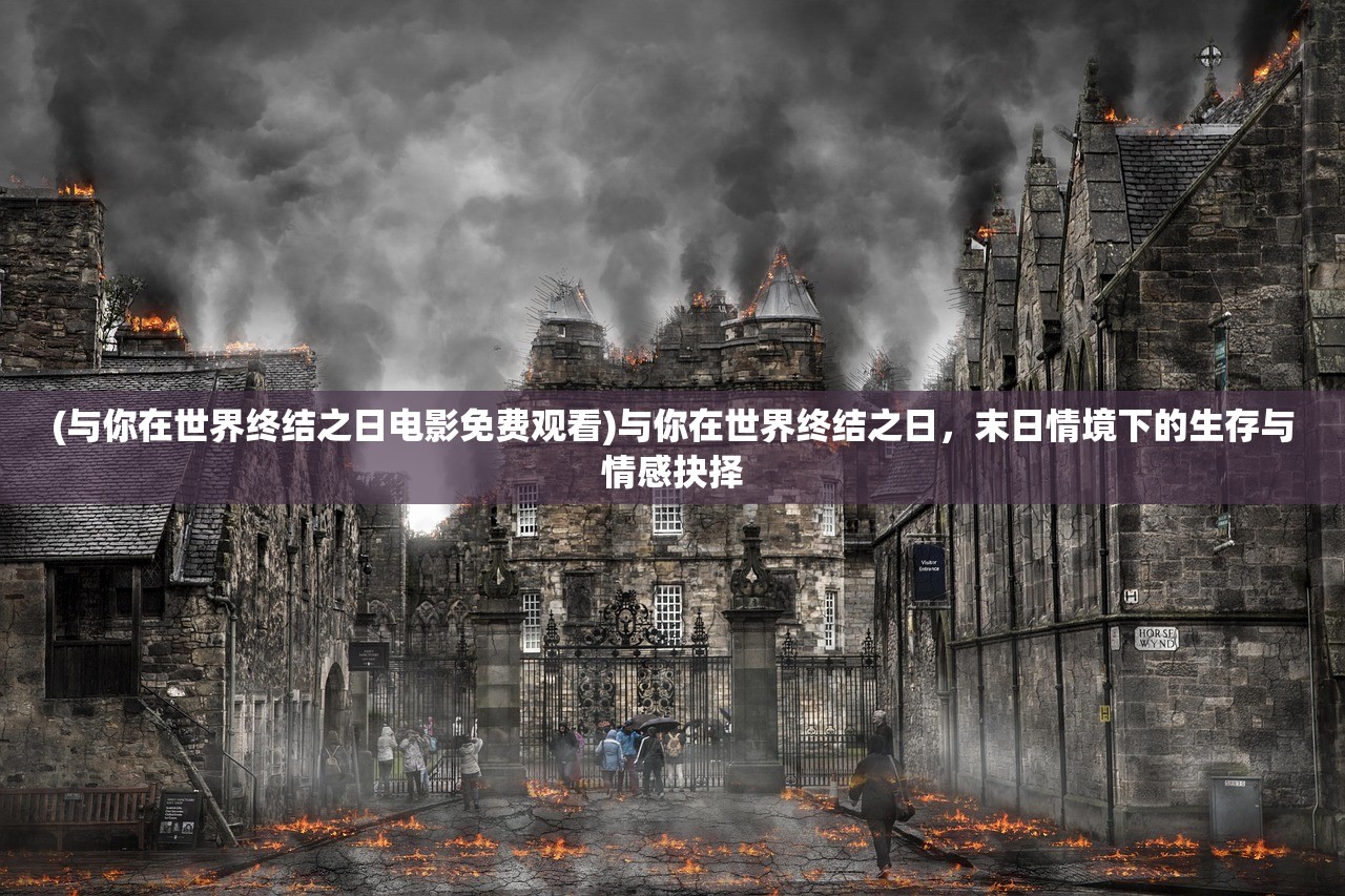 (喵喵谷景区)喵喵岛纸绘文化的魅力与传承