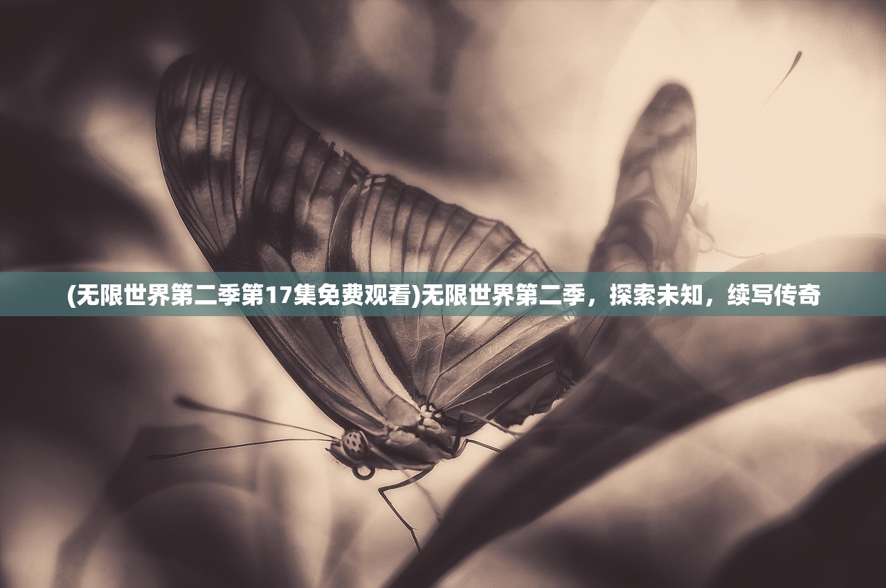(无限世界第二季第17集免费观看)无限世界第二季，探索未知，续写传奇