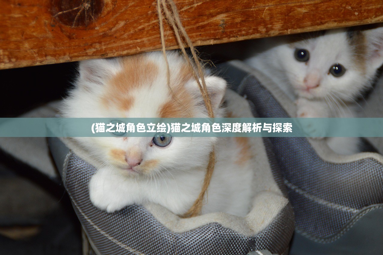(猫之城角色立绘)猫之城角色深度解析与探索
