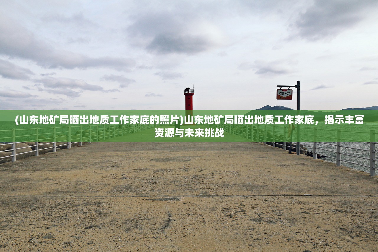 (山东地矿局晒出地质工作家底的照片)山东地矿局晒出地质工作家底，揭示丰富资源与未来挑战