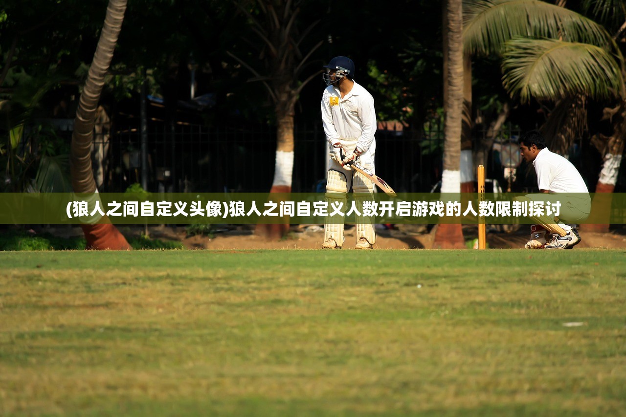 (狼人之间自定义头像)狼人之间自定义人数开启游戏的人数限制探讨