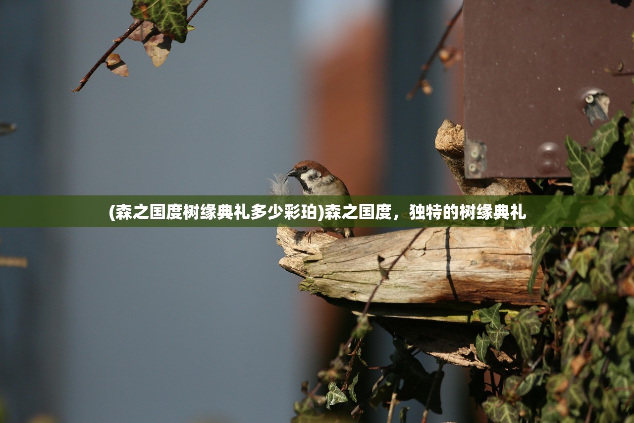 (森之国度树缘典礼多少彩珀)森之国度，独特的树缘典礼